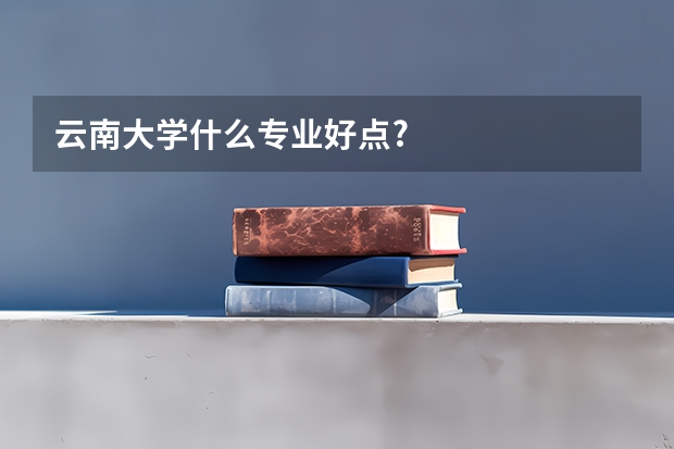 云南大学什么专业好点?