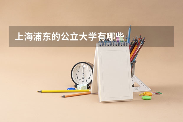 上海浦东的公立大学有哪些