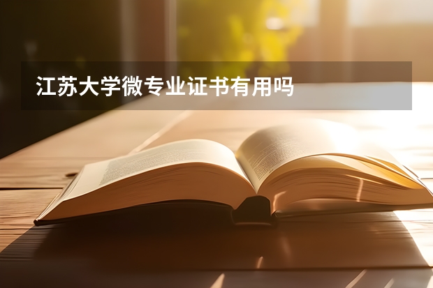 江苏大学微专业证书有用吗
