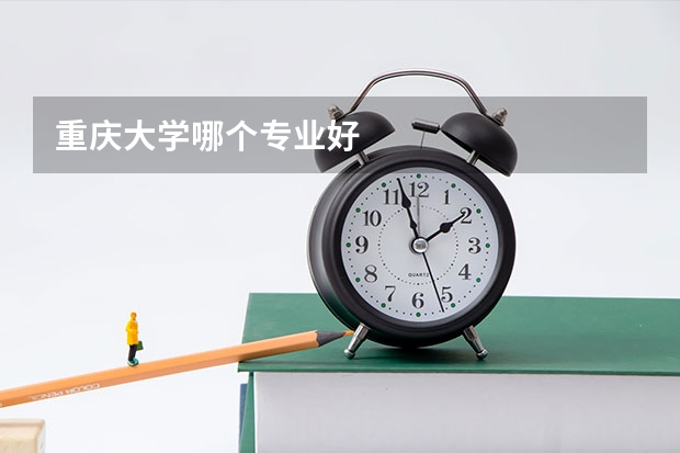 重庆大学哪个专业好
