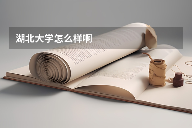 湖北大学怎么样啊