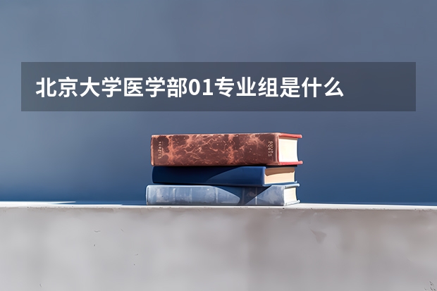 北京大学医学部01专业组是什么