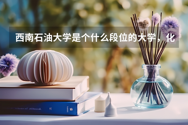 西南石油大学是个什么段位的大学，化工专业好么