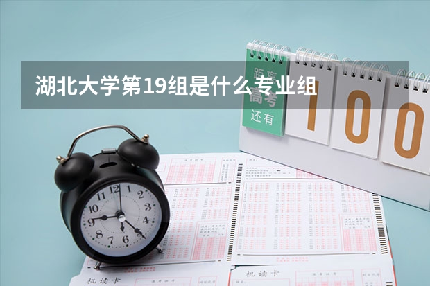 湖北大学第19组是什么专业组