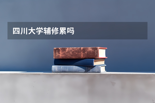 四川大学辅修累吗
