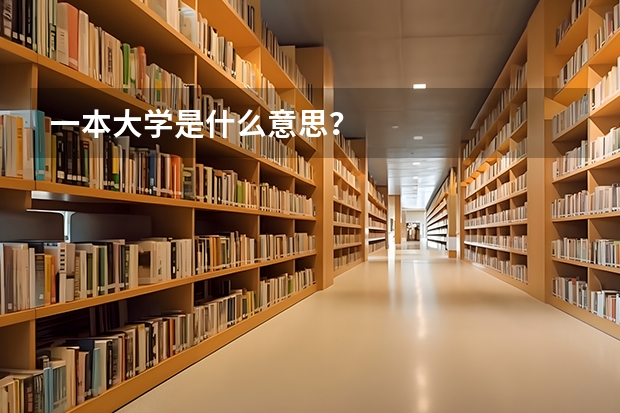 一本大学是什么意思?