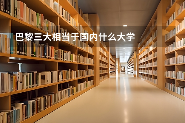 巴黎三大相当于国内什么大学