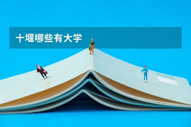 十堰哪些有大学