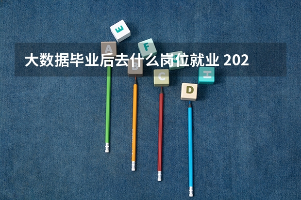 大数据毕业后去什么岗位就业 2025前景如何