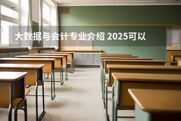 大数据与会计专业介绍 2025可以从事哪些工作