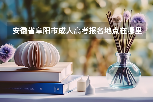 安徽省阜阳市成人高考报名地点在哪里？