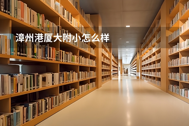 漳州港厦大附小怎么样