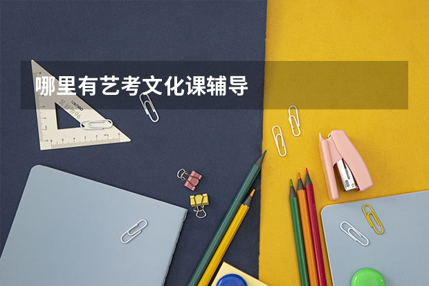 哪里有艺考文化课辅导