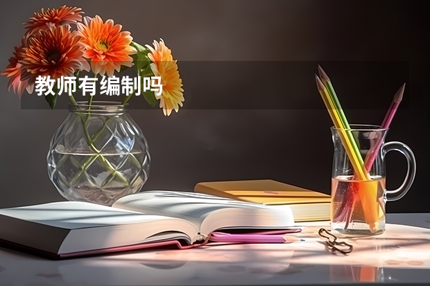 教师有编制吗