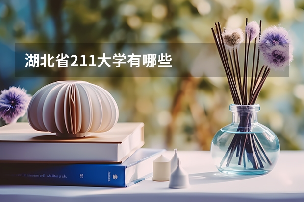 湖北省211大学有哪些