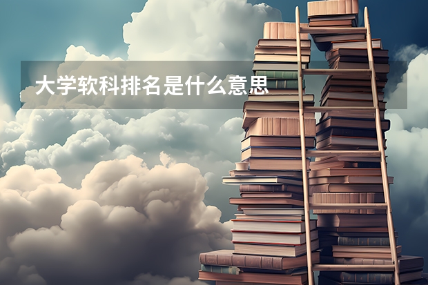 大学软科排名是什么意思