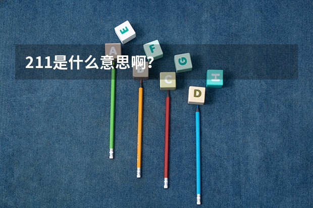 211是什么意思啊？