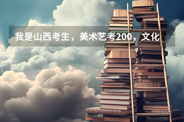 我是山西考生，美术艺考200，文化课246，能上什么学校？