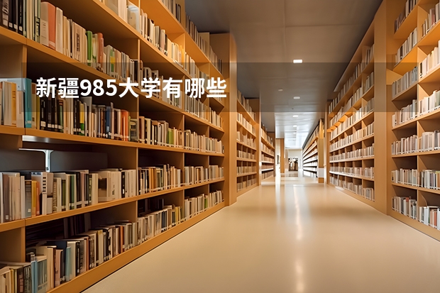 新疆985大学有哪些