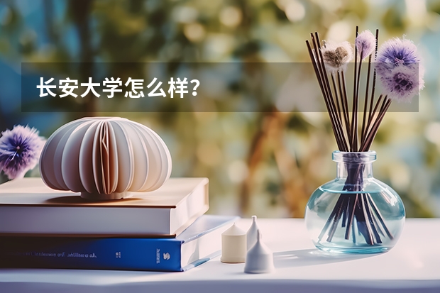 长安大学怎么样？