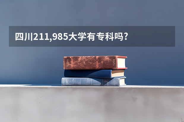 四川211,985大学有专科吗?