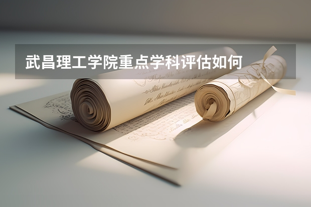 武昌理工学院重点学科评估如何