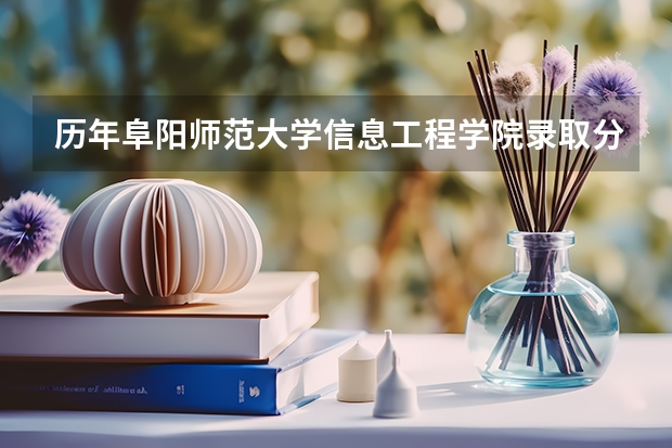 历年阜阳师范大学信息工程学院录取分数，学校是否是985或211学校