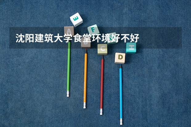 沈阳建筑大学食堂环境好不好