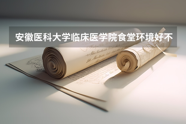 安徽医科大学临床医学院食堂环境好不好
