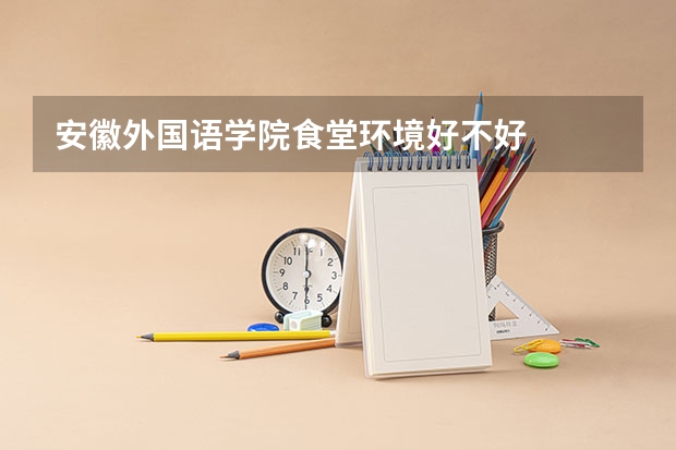 安徽外国语学院食堂环境好不好