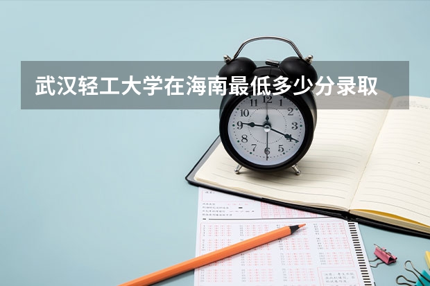 武汉轻工大学在海南最低多少分录取