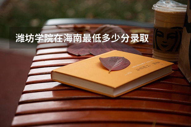 潍坊学院在海南最低多少分录取