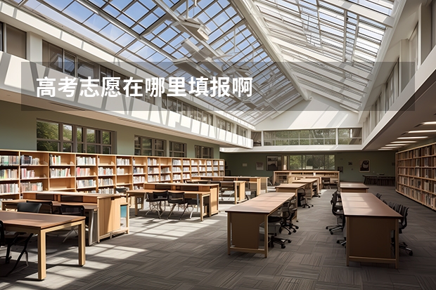 高考志愿在哪里填报啊