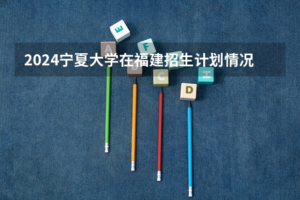 2024宁夏大学在福建招生计划情况