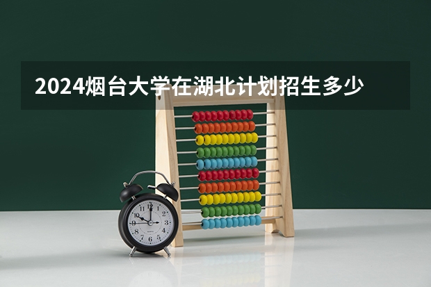 2024烟台大学在湖北计划招生多少人