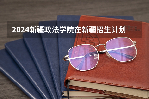 2024新疆政法学院在新疆招生计划情况如何