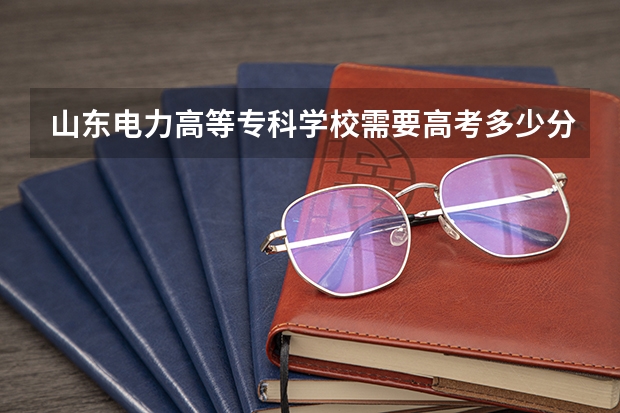 山东电力高等专科学校需要高考多少分才能被录取？